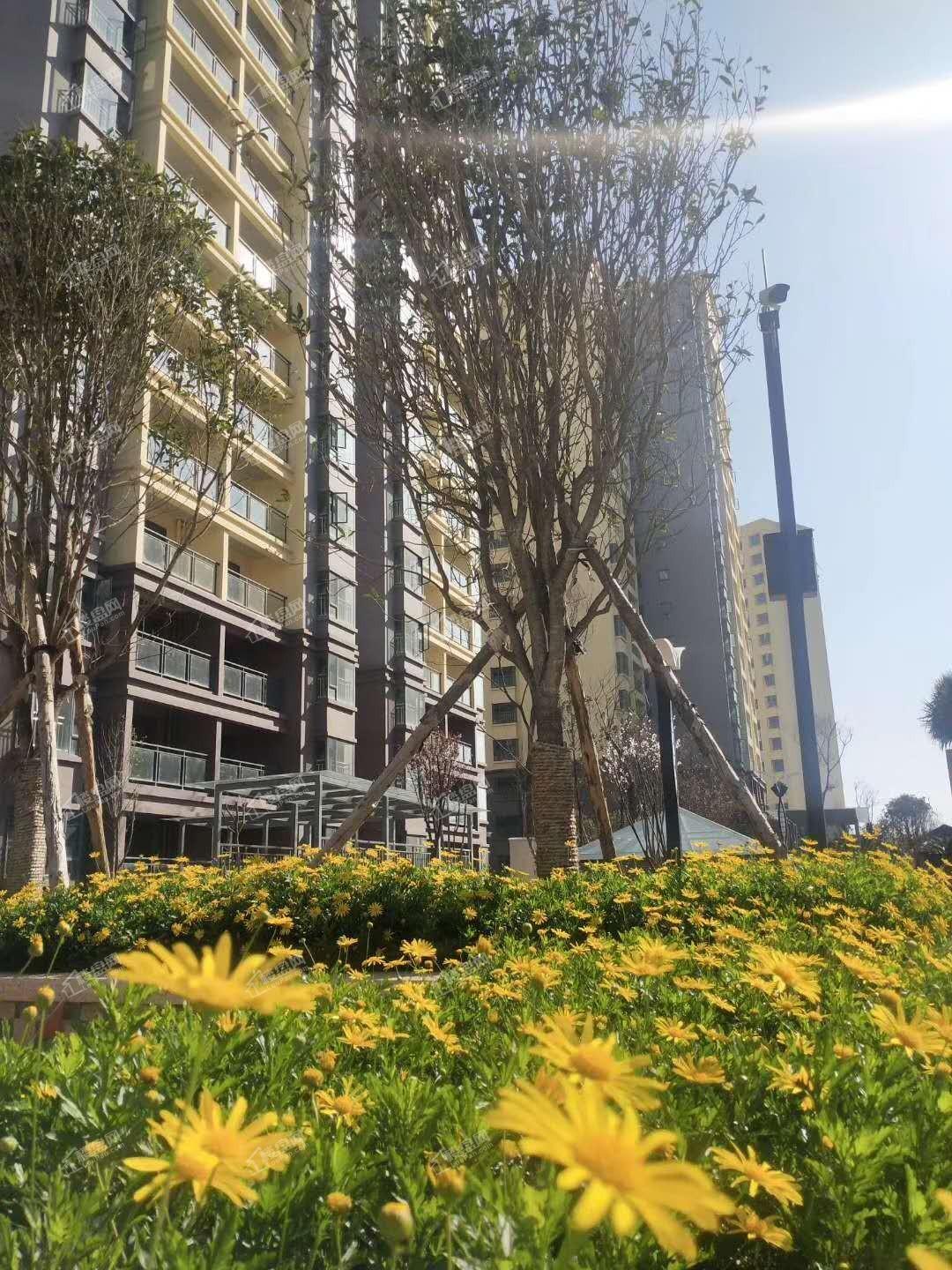 自然城悦府小区实景图（摄于2020年3月）