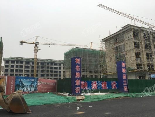 金庆纳帕溪谷在建工地