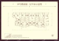 19号楼商铺一层户型A3-01