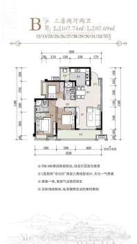 (高层)12-13、23、25-33#楼B户型 三房两厅两卫 107.74㎡