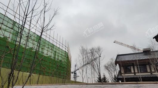 世茂莲花山小镇在建工地施工