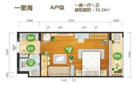 A户型 1房1厅1卫 31.16㎡