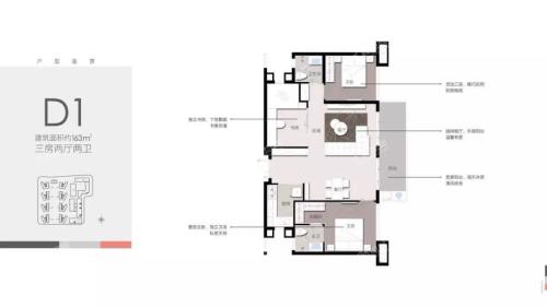 D1户型 3房2厅2卫1厨 163㎡