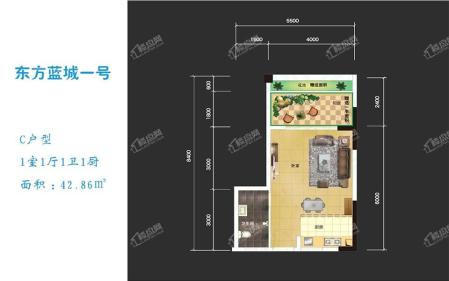 C户型 1室1厅1卫1厨 42.86㎡