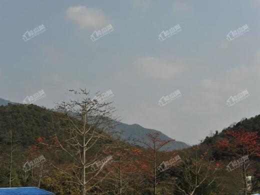 银湾天麓配套图