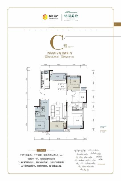 洋房C户型 四房两厅两卫两阳台 96.86㎡ 赠送28.91㎡