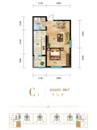 C1-1室1厅1卫-66.0㎡