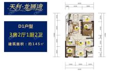D1户型 3房2厅1厨2卫 145㎡