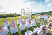 婚礼草坪