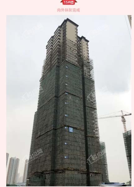 绿地新里璞悦公馆15#楼实景图更新于2020-3-27