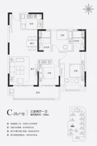 国安城C-2b户型建筑面积约124平米 3室2厅1卫1厨