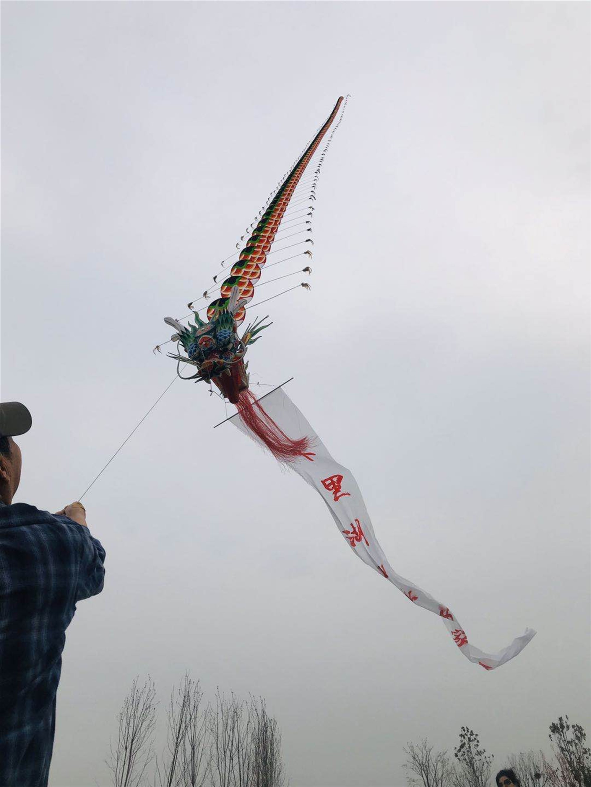 建业·十里湖山首届风筝节