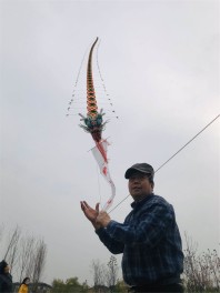 建业·十里湖山首届风筝节