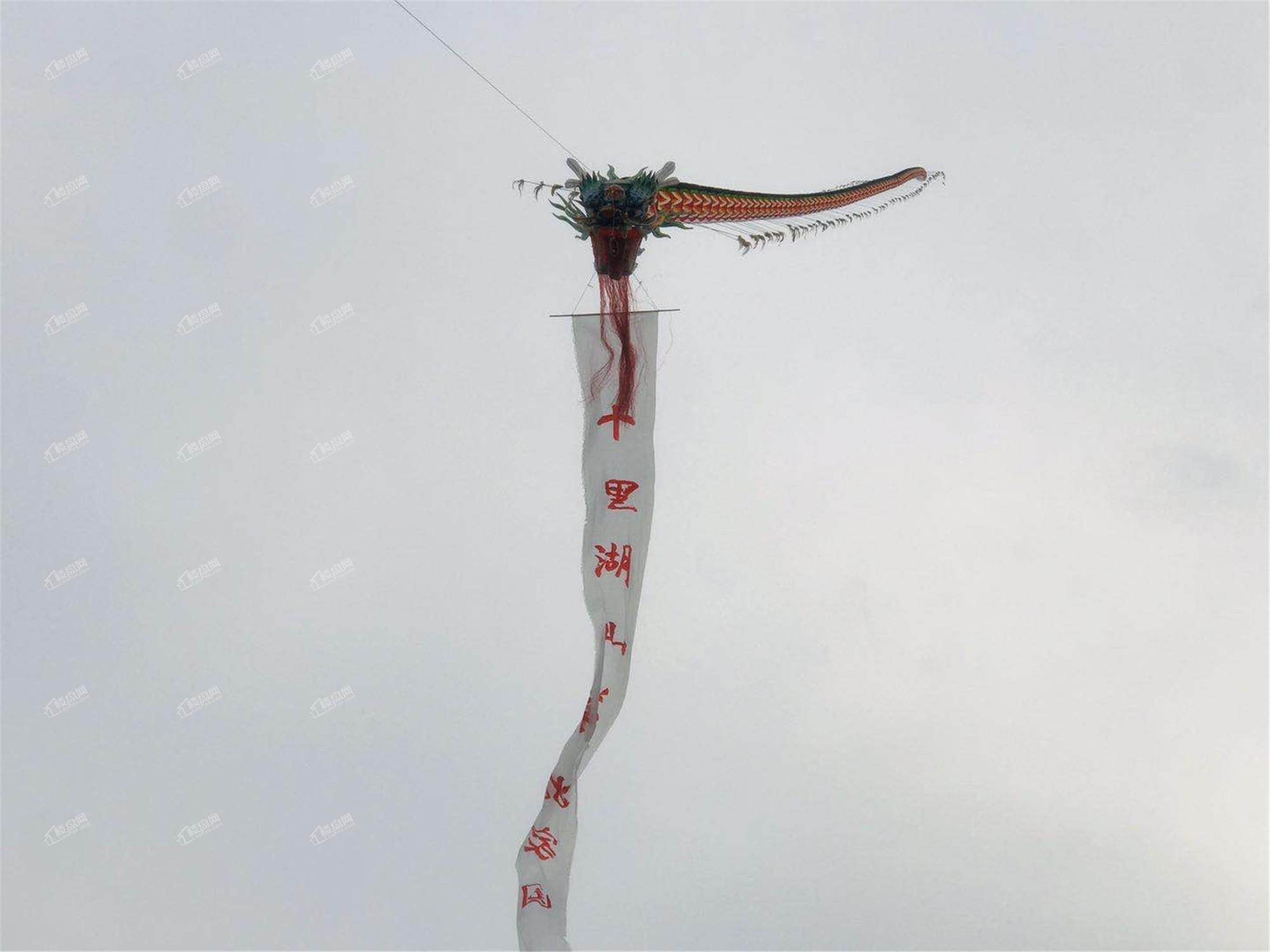 建业·十里湖山首届风筝节