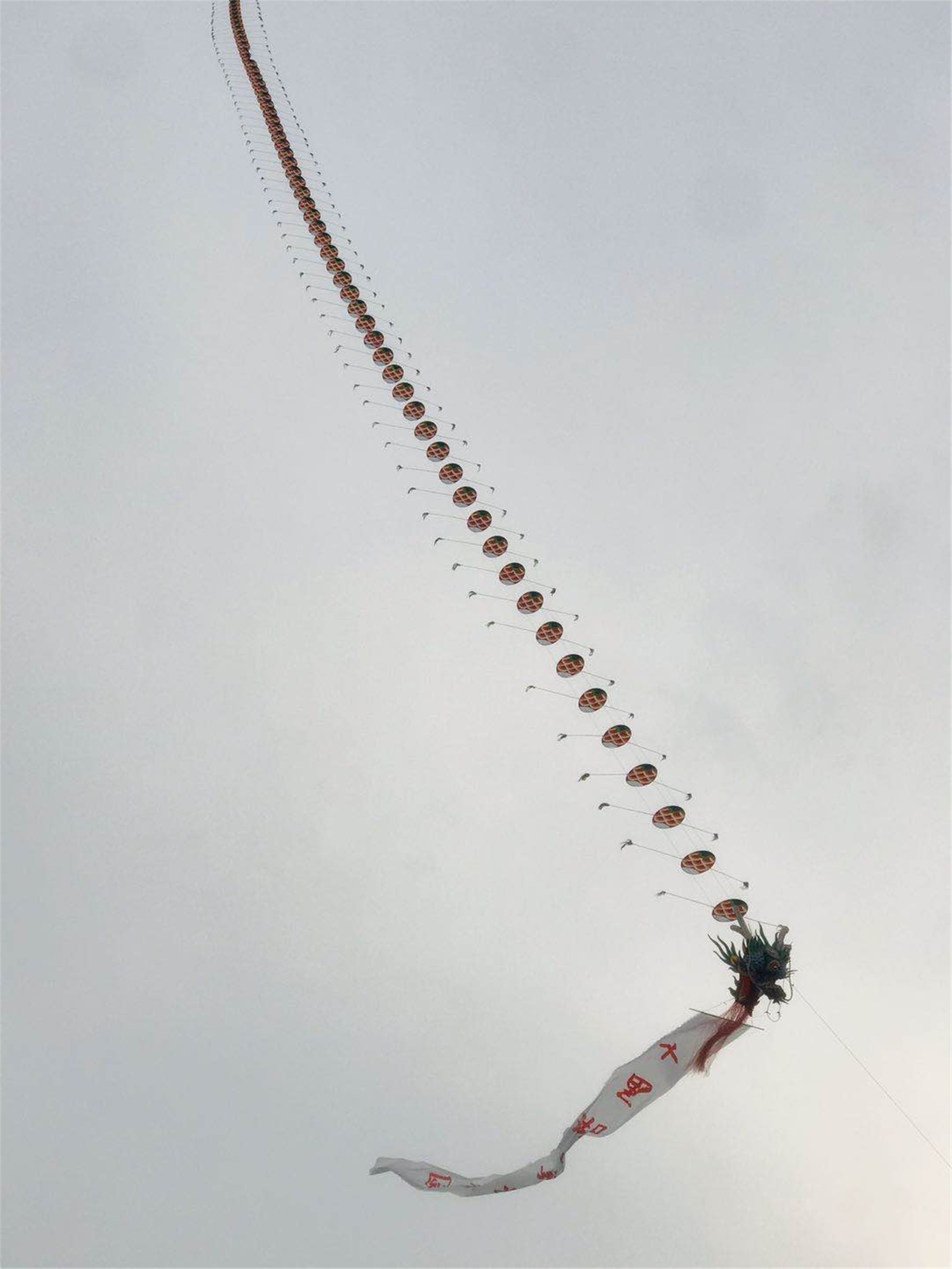 建业·十里湖山首届风筝节