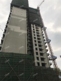 金科博翠山一期6#楼工程进度（摄于2020-4-14）