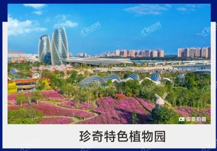 珍奇特色植物园