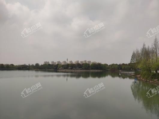 美的中骏雍景湾周边配套东港市民公园