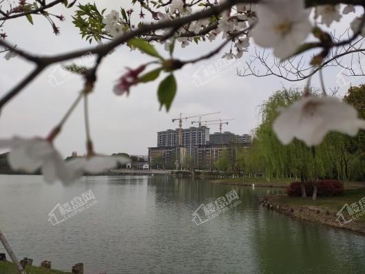 美的中骏雍景湾周边配套东港市民公园