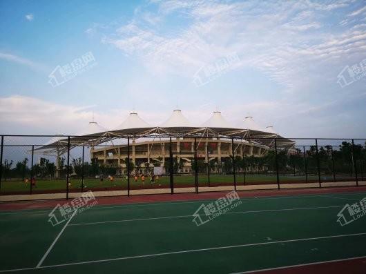 中央山水三期网球场