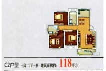 C2  3室2厅2卫118平