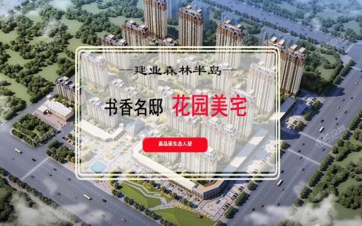 建业森林半岛效果图