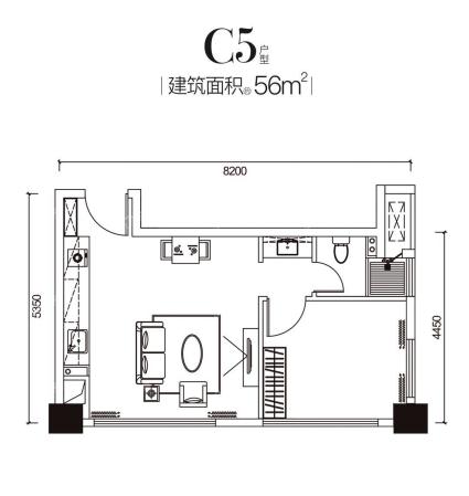 C5户型