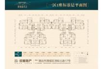 欧雅春天花园一区一座标准层平面图 3室2厅2卫1厨