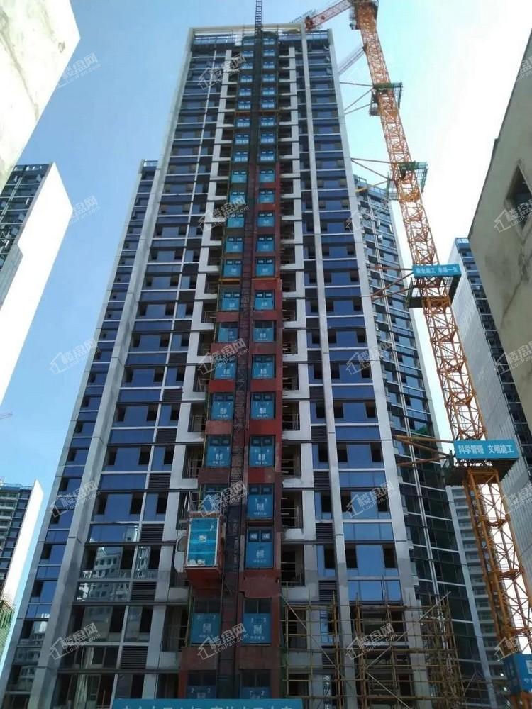 2020年5月工程进度：9-11号楼实景图