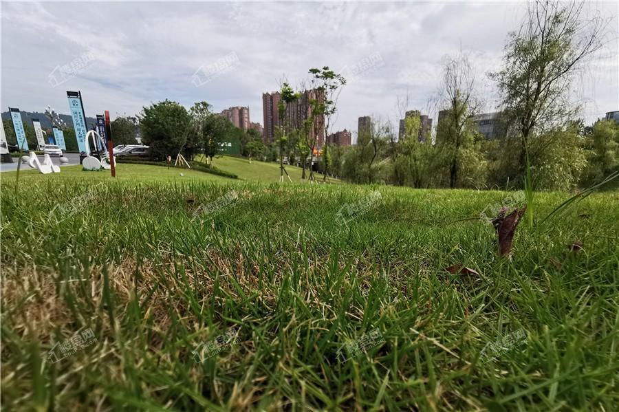 实景图，2020年6月