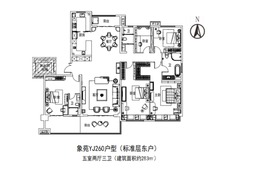 碧桂园象府YJ260户型 5室2厅3卫1厨