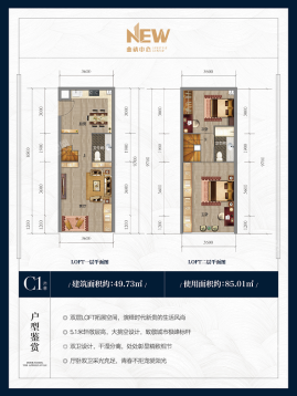 二期C1户型LOFT 两房一厅两卫 49.73㎡