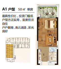 A1户型