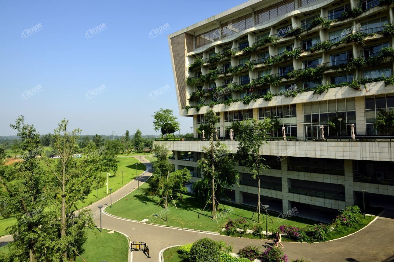 黑龙滩长岛实景图