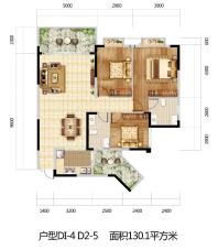 DI-4 D2-5 户型