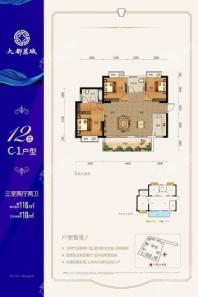 大都汇12#C-1户型 3室2厅2卫1厨