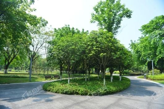 重庆中央公园北辰香麓图片
