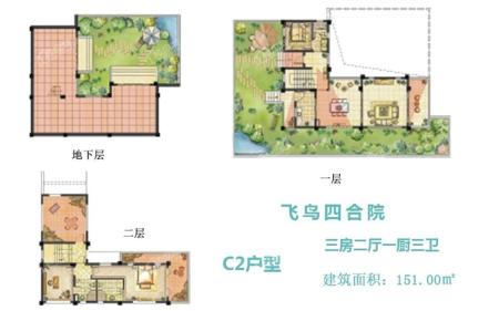 飞鸟四合院C2户型 4房3厅1厨3卫 201.00㎡