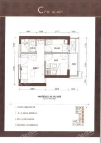 鸿荣源天俊C户型46-48㎡ 1室1厅1卫