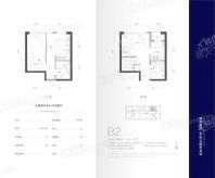 中电·世纪公元LOFT-B2户型41.96平米一室 1室1厅2卫1厨