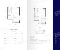 中电·世纪公元LOFT-B3户型55.60平米一室 1室2厅2卫1厨