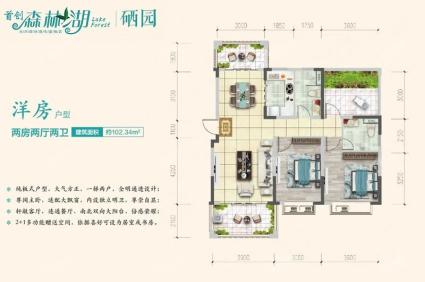 三期硒园洋房户型 2房2厅2卫1厨 102㎡