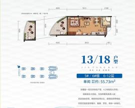 13&18户型 单间 55.73㎡