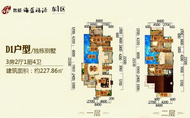 D1户型/独栋别墅