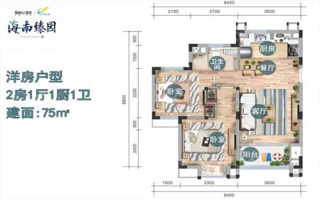 洋房户型 2房1厅1厨1卫 75㎡