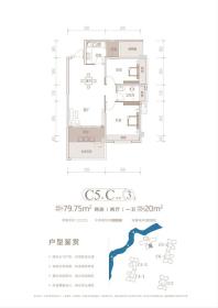 C5户型单页-08