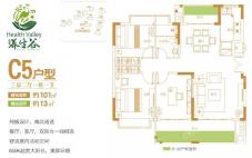 C5户型 3房2厅1厨1卫 101㎡