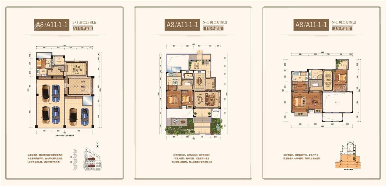 万达茂御墅仕家A8/A11-1-1户型图