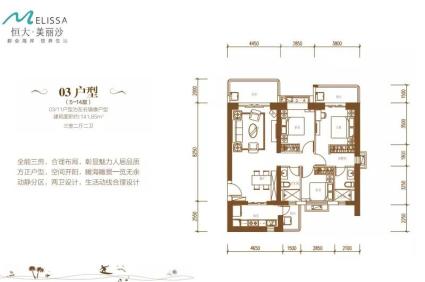 03户型5-14层 3房2厅2卫1厨 141.85㎡