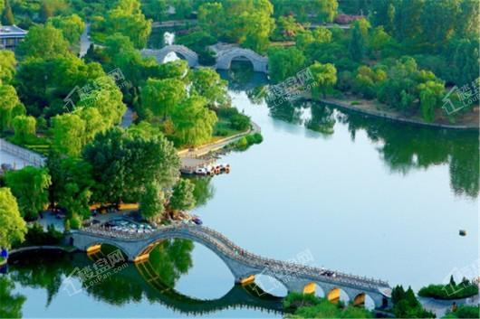 锋泰·尚城国际C区留仙湖公园
